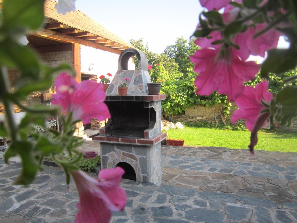 Guest House Popov Marczewo Zewnętrze zdjęcie